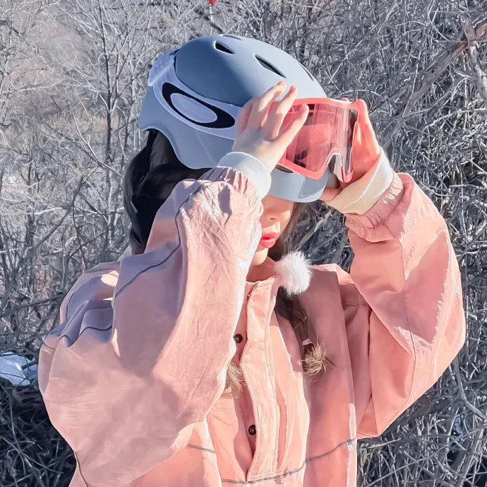 登月先锋 封面