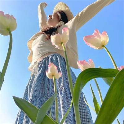夏日之恋 封面